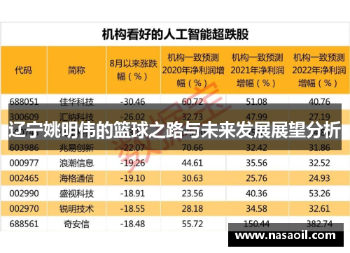 辽宁姚明伟的篮球之路与未来发展展望分析